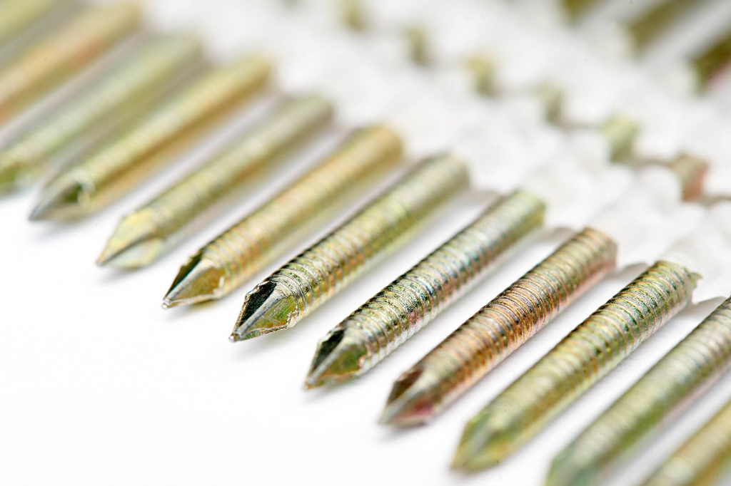 201919560янв 01 2009.jpg